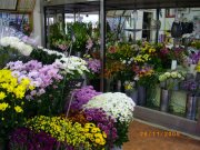「花の紫紅堂」　（北海道札幌市白石区）の花屋店舗写真2